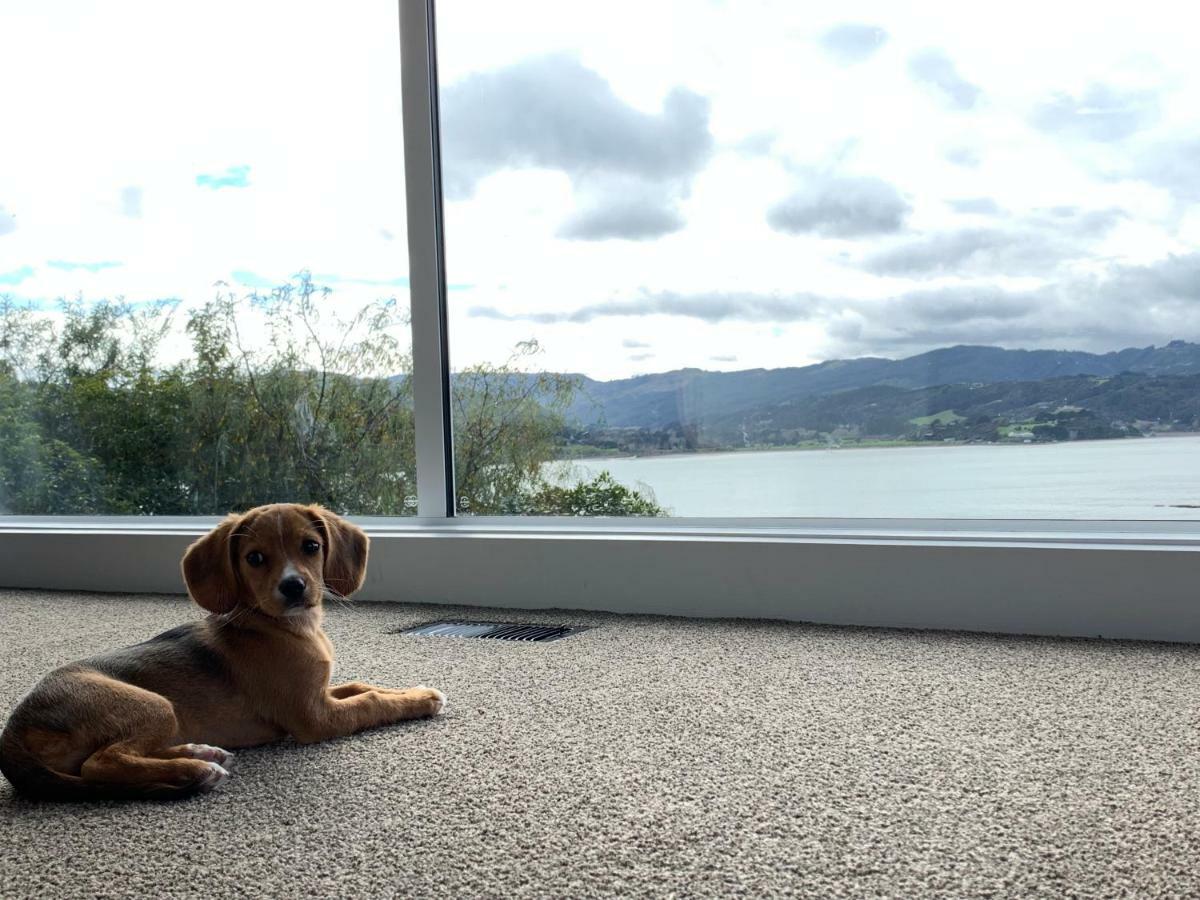 Whitby Sea View Apartment Porirua Luaran gambar